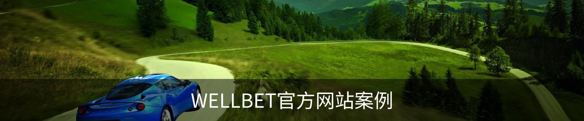 WELLBET官方网站案例